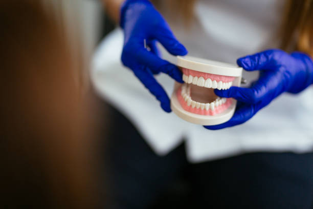 Best Dental Exams and Cleanings  in Elwood, IN